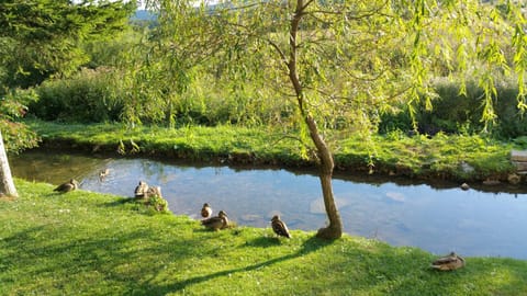 Rustic Inn River 2 Bed and breakfast in Plitvice Lakes Park