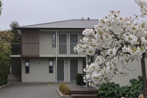 Property building, Spring, Garden, Parking