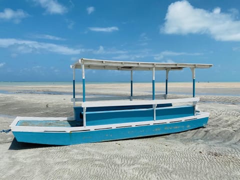 Natural landscape, Beach