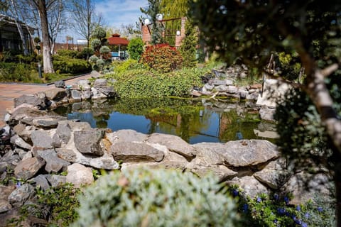 Day, Garden, Garden view