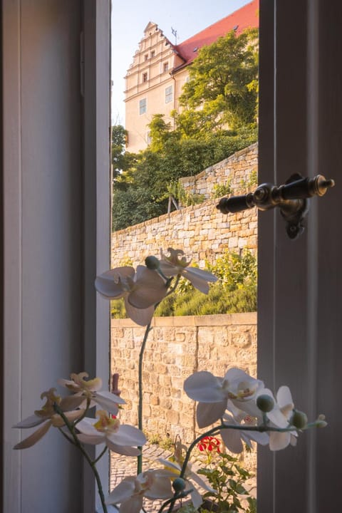 Ferienhaus Castle View Quedlinburg House in Quedlinburg