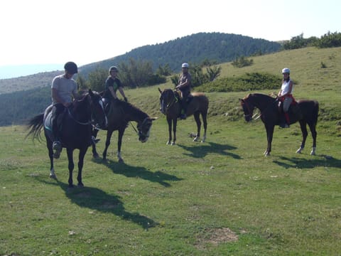 Horse-riding