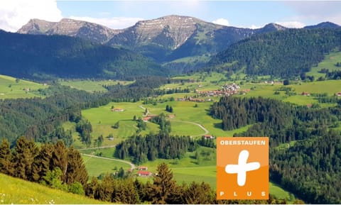 Off site, Day, Natural landscape, Summer, Hiking, Mountain view