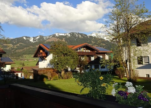 Neighbourhood, Natural landscape, Mountain view
