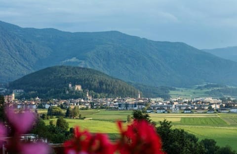 Haus Aron Condo in Bruneck