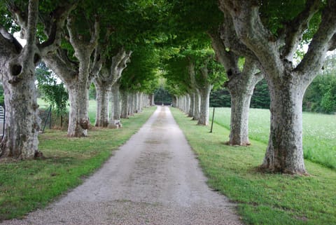 Le Mas Saint Jacques Bed and Breakfast in Le Pontet