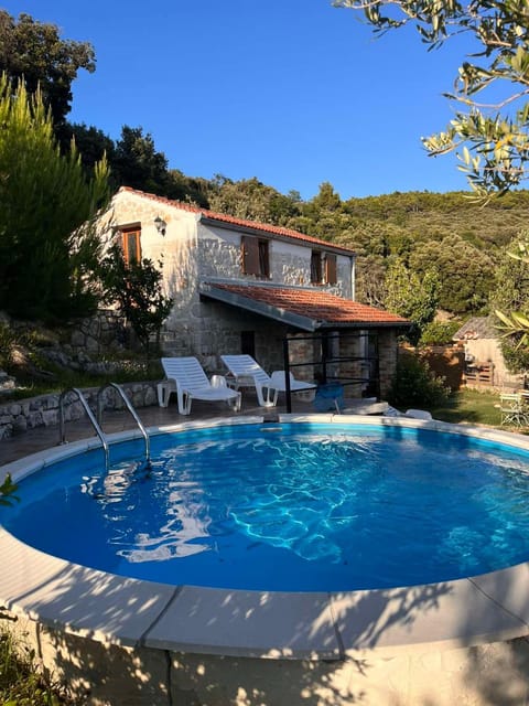 Day, Pool view, Swimming pool