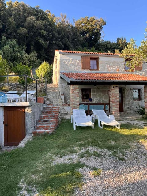 Property building, Garden, Garden view