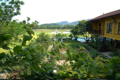 Property building, Garden view