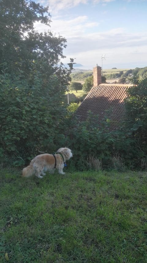 Moonfleat House in West Somerset District