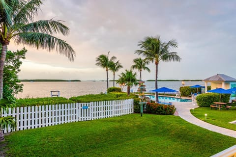 Beach, Swimming pool