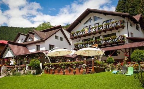 Complex Turistic Luminita Hotel in Brașov County