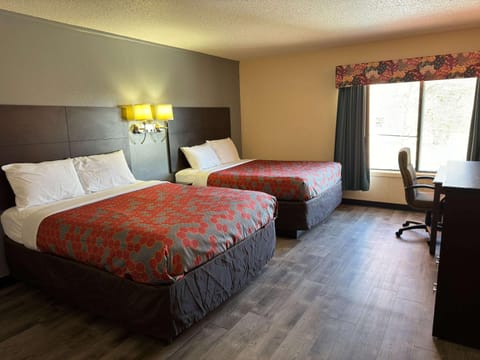 Econo Lodge Albergue natural in St Cloud