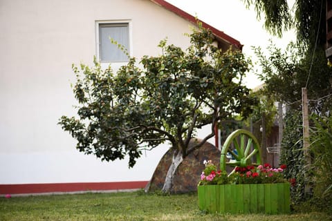 Vila toate Panzele Sus Bed and Breakfast in Constanța County