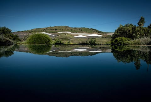 Quinta do Vallado - Douro Wine Hotel Bed and Breakfast in Vila Real District