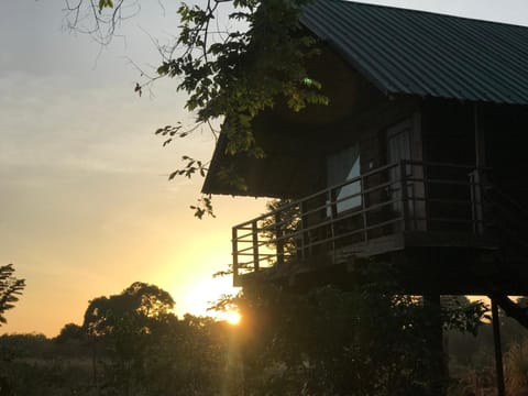 Chena Huts Eco Resort Resort in Dambulla