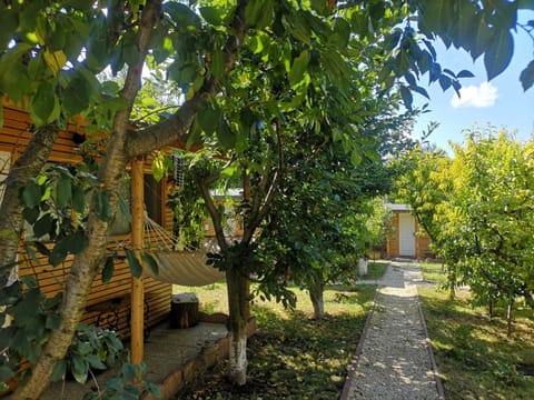 Relax Eaza - Casa cu Hamac Nature lodge in Constanta