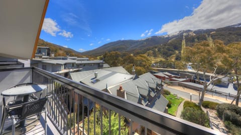Snowgoose Apartments Flat hotel in Thredbo