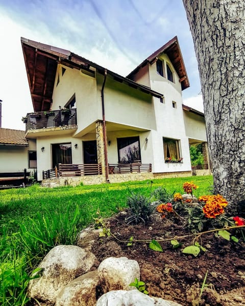 Bucuria Muntelui Bed and Breakfast in Brașov County