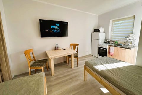 Bed, TV and multimedia, Kitchen or kitchenette, Photo of the whole room, Seating area, Dining area, Bedroom, minibar, pet friendly