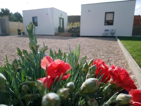 Property building, Facade/entrance, Garden