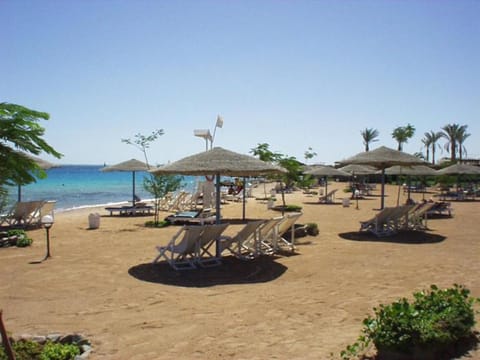 Sea Garden Hotel Hotel in Hurghada