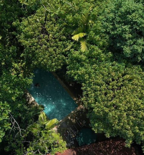 Ambong Rainforest Retreat Nature lodge in Kedah