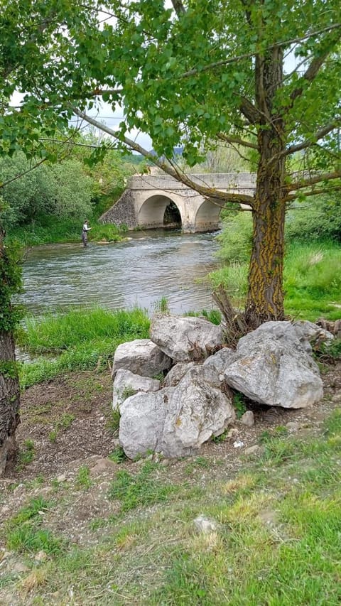 Fishing, River view