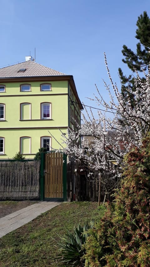 Olsinky Apartment in Saxony