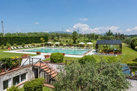 Natural landscape, Garden, Swimming pool, sunbed