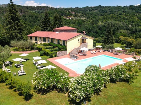 Bird's eye view, Pool view