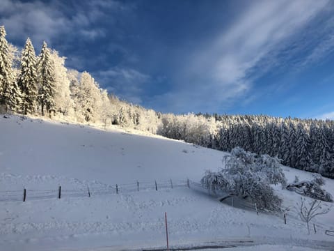 Natural landscape, Winter, Hiking