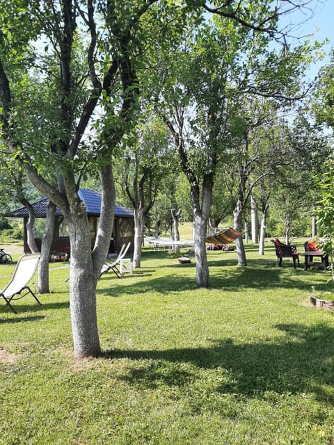 Garden, Garden, View (from property/room)