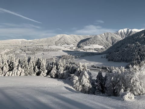 Natural landscape, Winter, Hiking, Mountain view