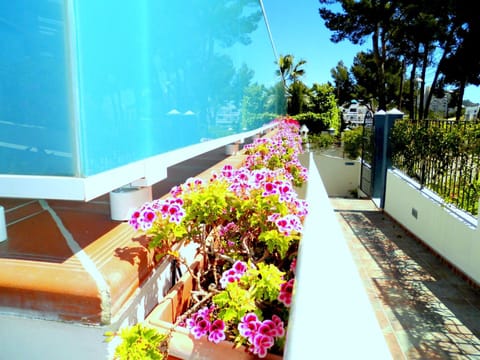 Apartamentos Petit Blau Apartment in Serra de Tramuntana