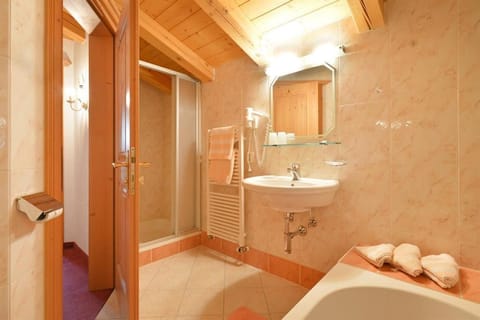 Shower, Toilet, Bathroom, Bath, towels