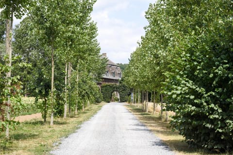 Property building, Day, Natural landscape