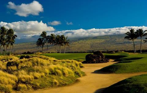 Waikoloa Beach Villas J32 House in Puako