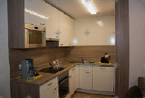 Kitchen or kitchenette, dishwasher, stove