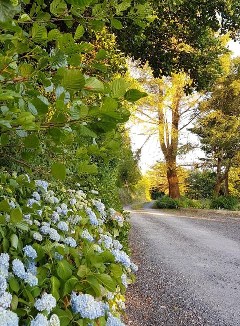 Alderwood House Bed and Breakfast in County Kerry