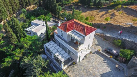 Property building, Bird's eye view