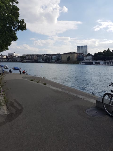 Apartment am Rhein Copropriété in Basel