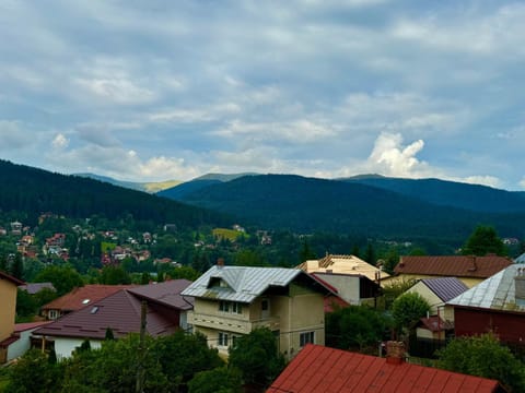 Casa Belcin Spa&Retreat Bed and Breakfast in Prahova, Romania