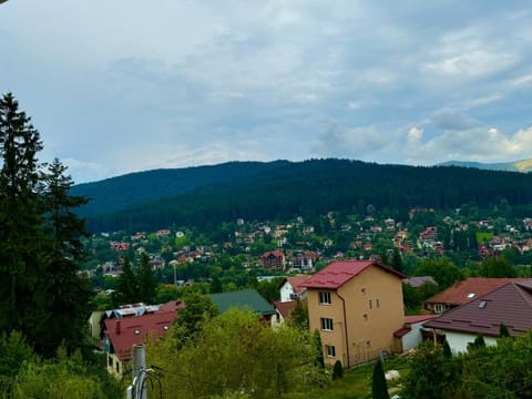 Casa Belcin Spa&Retreat Bed and Breakfast in Prahova, Romania