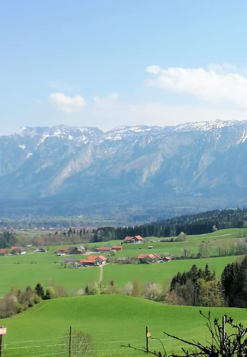 Hölbinger Alm - Apartments Copropriété in Berchtesgadener Land