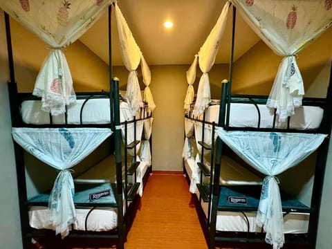 Bed, Photo of the whole room, Bedroom, bunk bed