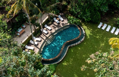 Bird's eye view, Garden, Pool view, Swimming pool, sunbed