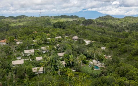 The Mesare Eco Resort Resort in Nusapenida