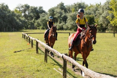 Horse-riding, Horse-riding, Sports, Sports