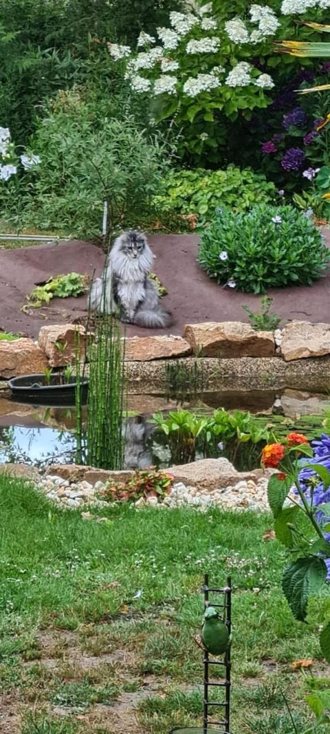 L'Oustaou du Bodo Bed and Breakfast in Brittany